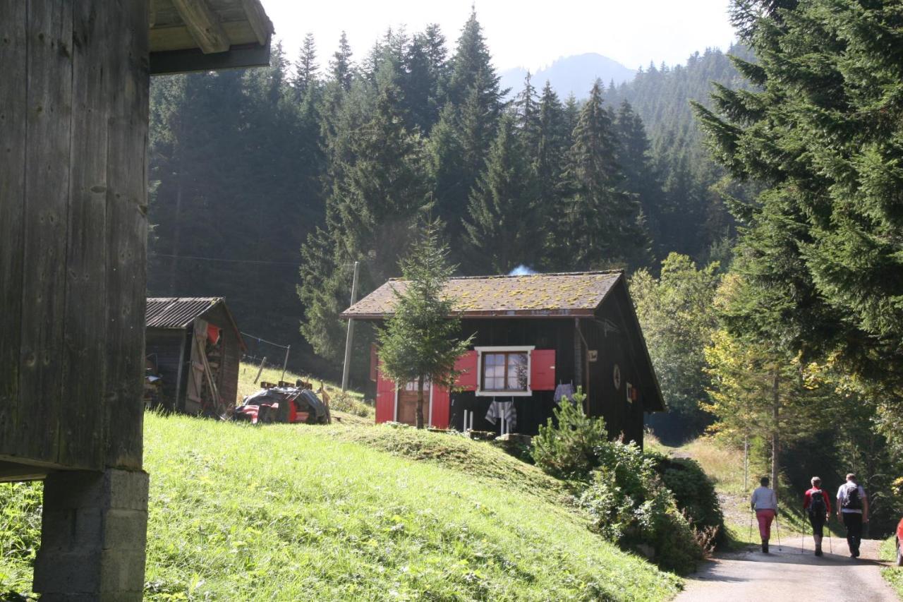 Heerlijke Wandel Of Ski Vakantie In Torgon Portes Du Soleil Exterior foto