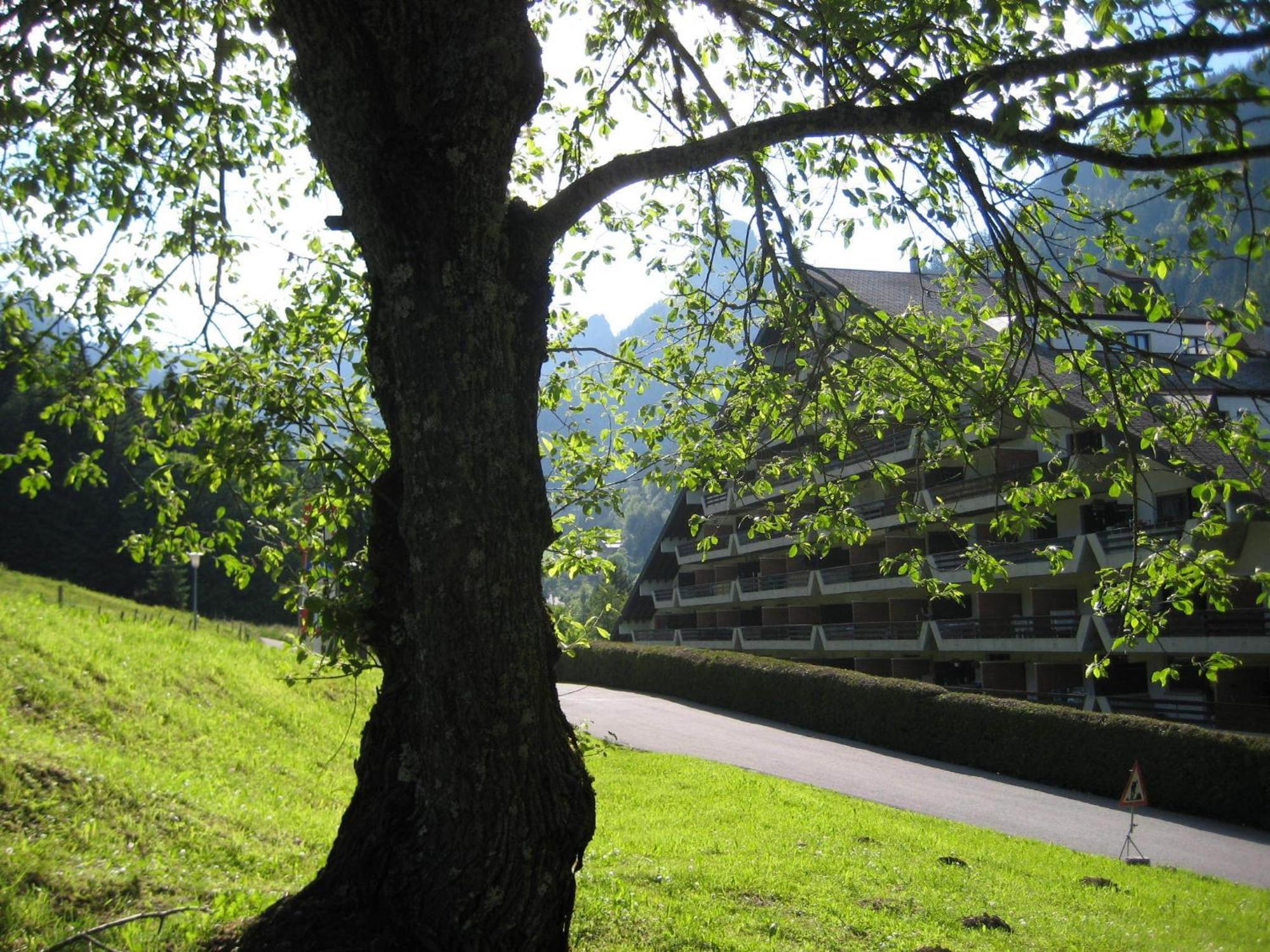 Heerlijke Wandel Of Ski Vakantie In Torgon Portes Du Soleil Exterior foto